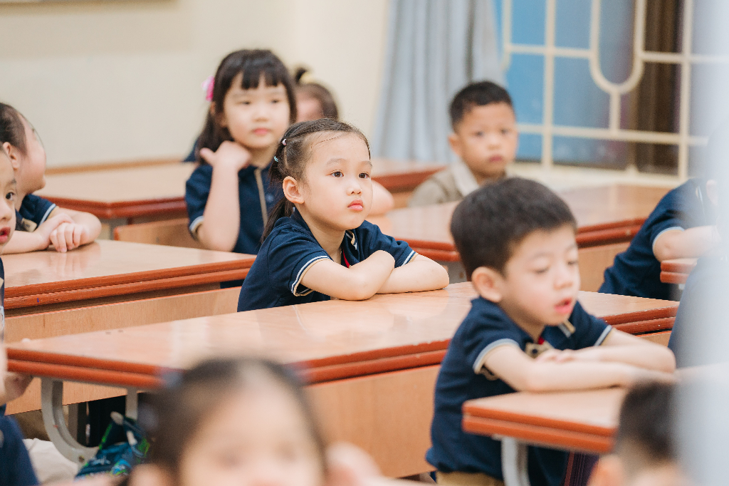 Hình ảnh chương trình tiêu chuẩn 1