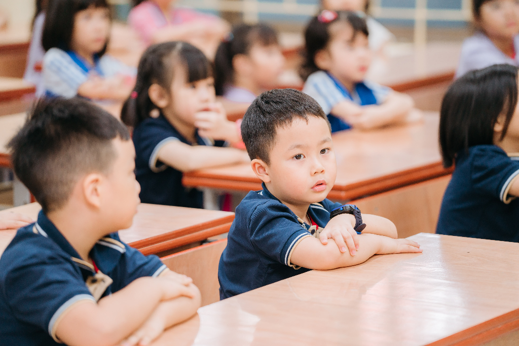 Hình ảnh chương trình tiêu chuẩn 3