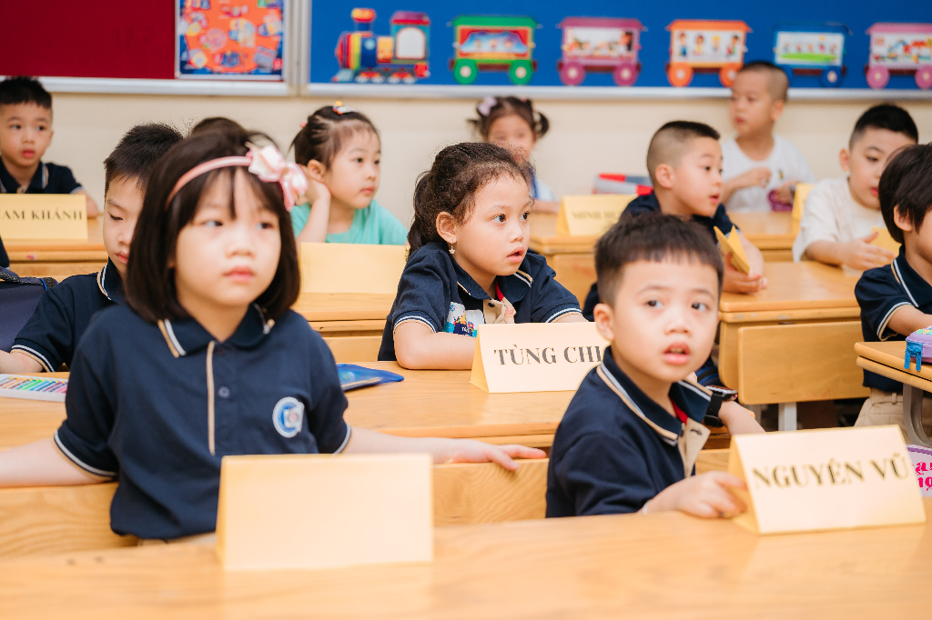 Hình ảnh chương trình tiêu chuẩn 4